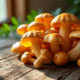 Champignons girolle frais sur une table en bois rustique